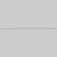 Image of Custom Testing of Animal Samples for various animal's viruses (MADV/TMEV/KV/PVM/LCMV/MHV/MPV/MV/Hantavirus/REOV/SDAV/THV/Syhilis) by ELISA